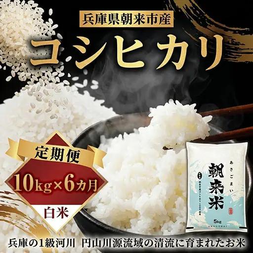 米【定期便6回】コシヒカリ 10kg(5kg2袋) R8年産 白米
