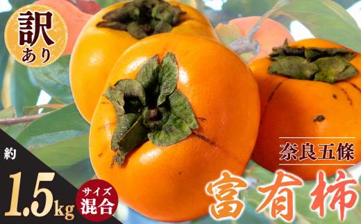 訳あり 富有柿 約 1.5kg サイズおまかせ | フルーツ くだもの 果物 柿 かき カキ 奈良県 五條市 柿の王様 わけあり 訳アリ フルーツ 果実 食感 こだわり 11月 秋 旬 味覚 グルメ お取り寄せ 送料無料 LIP～幸せいちご園～ 大容量 農家直送 産地直送 ビタミン タンニン 食物繊維 豊富 美容 健康