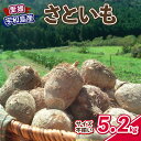 【ふるさと納税】 里芋 5.2kg 根菜 さといも サイズ 不揃い ねっとり もちもち やわらか 御槇米生産協議会 芋 いも 煮付け 芋炊き 芋煮 野菜 農家直送 産地直送 数量限定 国産 愛媛 宇和島 F012-018001