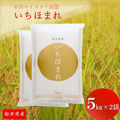 ふるさと納税 鯖江市 福井県産【令和6年産】いちほまれ 10kg