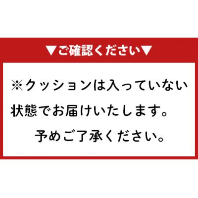 ふるさと納税 天城町 【ブラック】天城町 YADWU クッションカバー 1個 地域ブランド ヤドゥー 雑貨 |  | 03