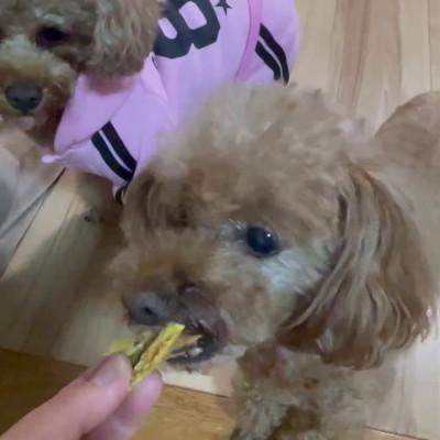 ふるさと納税 茨城県 茨城県産ほしいもの未利用部分を使用した犬の無添加おやつ(トッピングタイプ30g×8袋) |  | 03