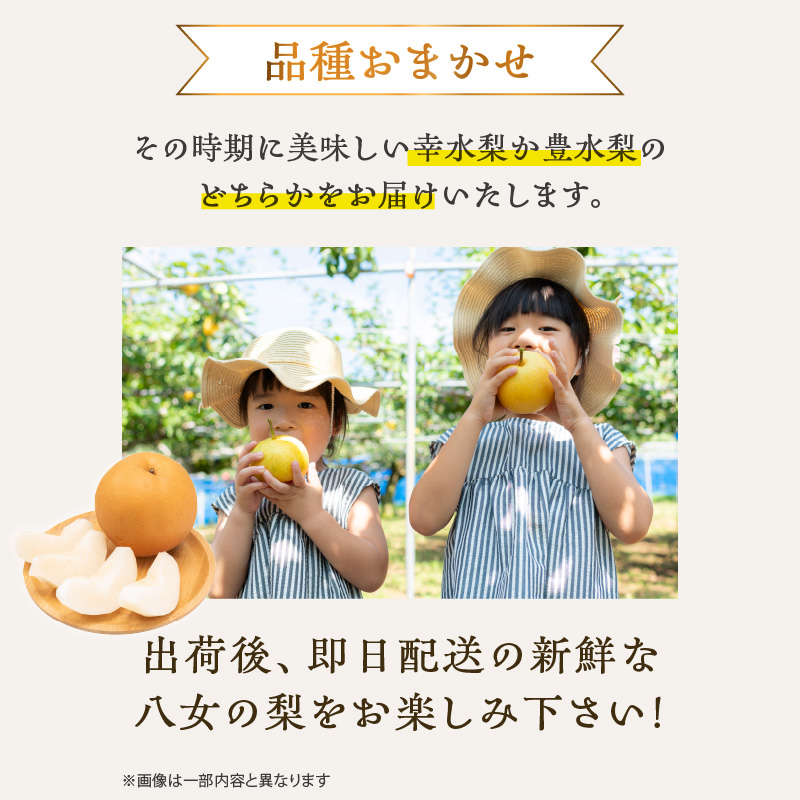 【先行受付】梨（5kg）｜2026年9月下旬～発送予定 なし 梨 旬 フルーツ 果物 くだもの 福岡県 八女市