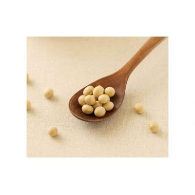 ふるさと納税 にかほ市 定期便 500g×2パック×隔月6回 1年分 無添加 秋田こまち味噌[No.5685-1291] |  | 01