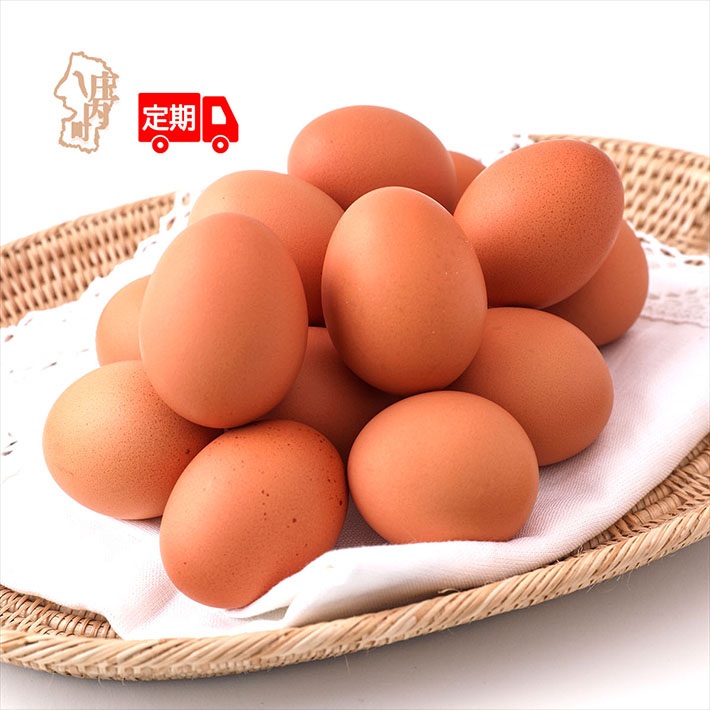 【6か月定期便】スズキのたまご 地養卵 30個 MS～Lサイズ 新鮮 卵 たまご 鶏卵 生卵 地養卵 赤たまご 定期【8月中旬発送/入金期限：2026年7月25日】