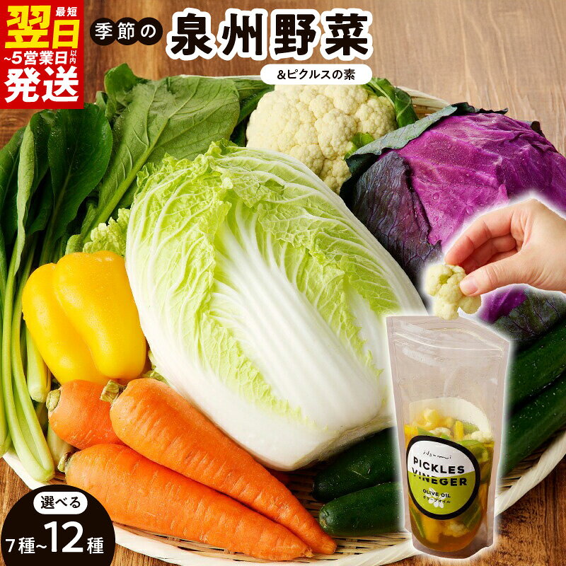 【ふるさと納税】旬の新鮮 野菜セット 選べる 内容量 おまかせ ピクルスの素 ファミリー向け 泉州野菜 旬の野菜 季節の野菜 詰め合わせ 野菜 国産 新鮮 毎日食材 最短 翌日発送 5営業日 大阪府 泉佐野市 送料無料 いずみピクルス NSW 年内配送