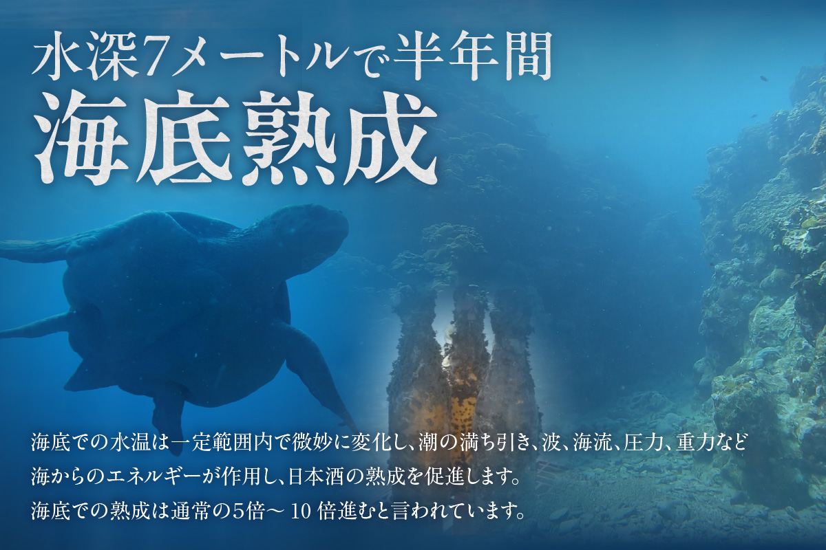 【テレビで紹介！】伊勢湾竜宮熟成酒「たまてばこ」【浦野酒造】│天然熟成酒 日本酒 玄米使用 お酒 アルコール 贅沢 純米酒 熟成酒 海底熟成 地酒井上屋 愛知県 常滑市
