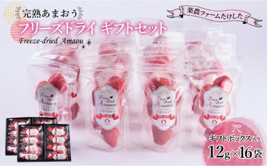 
                  形も味もそのまま楽しめる！完熟あまおう【フリーズドライギフトセット】 (12g×16袋)【あまおう 食品 あまおう フルーツ あまおう 果物 苺くだもの いちご 食品 イチゴ 人気 あまおう おすすめ 送料無料 福岡県 大川市 AA045】
                