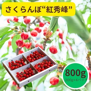 さくらんぼ（紅秀峰）８００ｇ　0055-2504