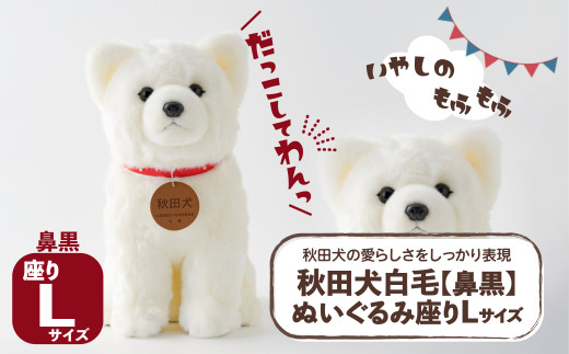 秋田犬白毛(鼻黒)ぬいぐるみ　座りＬサイズ 165P7304 / 東北 秋田 大館 秋田犬 ぬいぐるみ 贈り物 贈答用 犬 犬グッズ あきたいぬ あきたけん 秋田犬の里 忠犬 ハチ公 ハチコウ はちこう 贈り物 誕生日 バースデー プレゼント クリスマス ギフト ふわふわ もふもふ