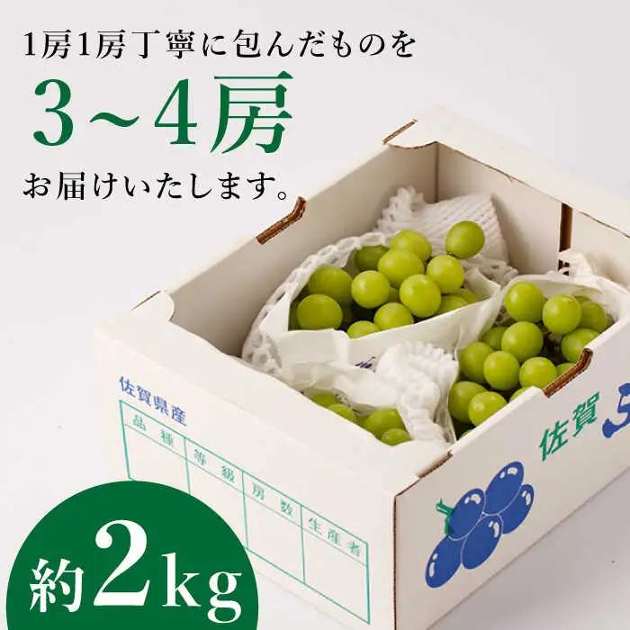シャインマスカット 約2kg 九州産シャインマスカット /菓子工房ピュアハート [UDF002]