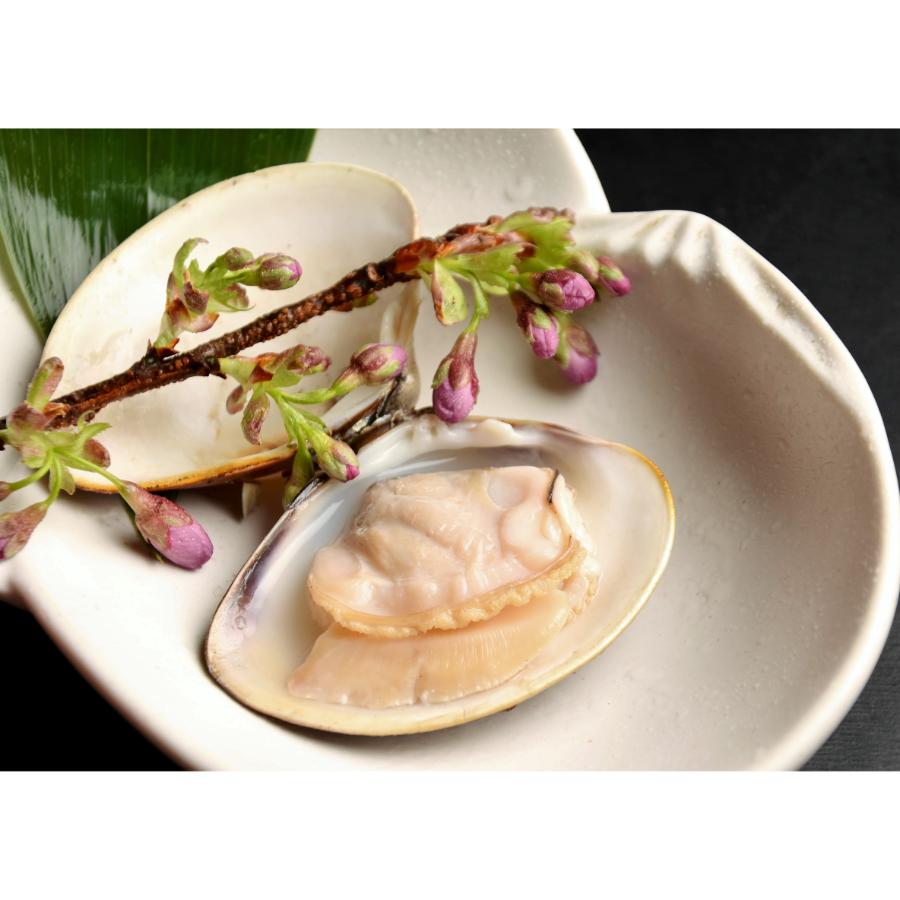 ＜桑名はまぐり屋＞桑名産「はまぐり」10年もの（レトルト）6粒【6ヵ月定期便】