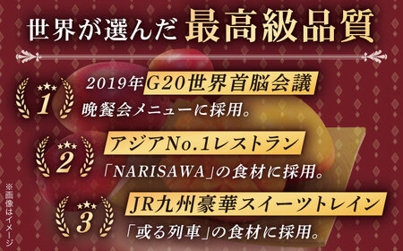 【訳あり】【心地よい至福の果肉感！】完熟プレミアム プリンセスマンゴー 不揃い3000g【堀内フルーツファーム】[QAT015]