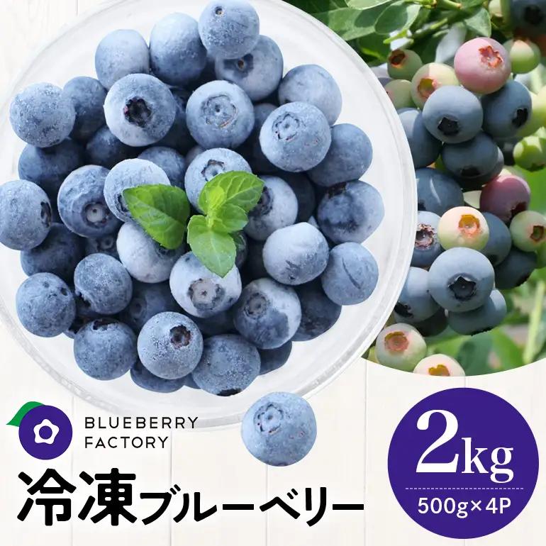 冷凍ブルーベリー＜真空パック保存＞2kgパック(500g×4P) A16-017