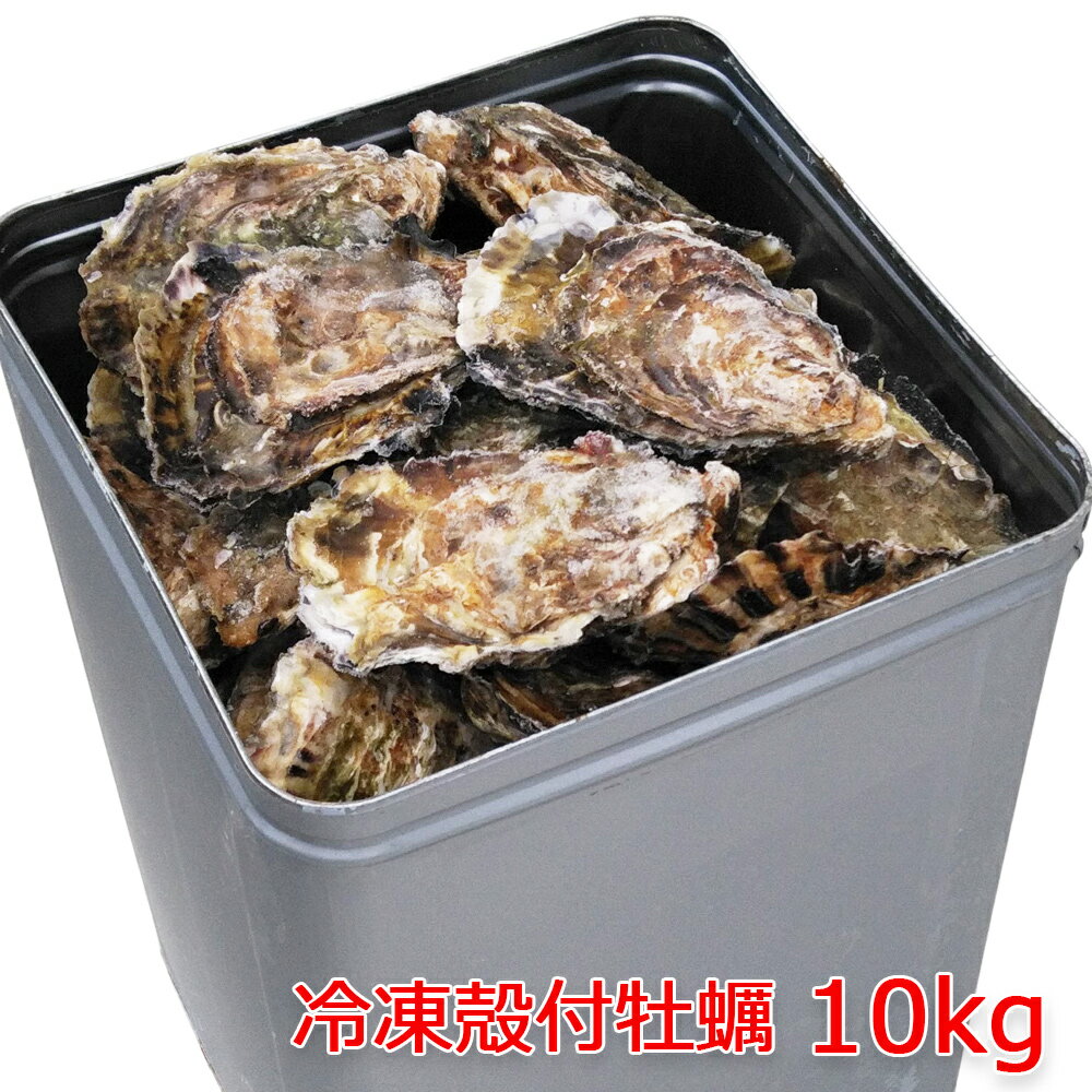 【ふるさと納税】冷凍殻付牡蠣 10kg｜生牡蠣 かき 大容量 産地直送 濃厚 冷凍 新鮮 旬 広島県 宮島 瀬戸内海 国産 加熱調理用 ふるさと ランキング 人気 [1378]