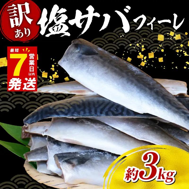 訳あり さば 塩鯖約3kg規格外 サバ 旭市