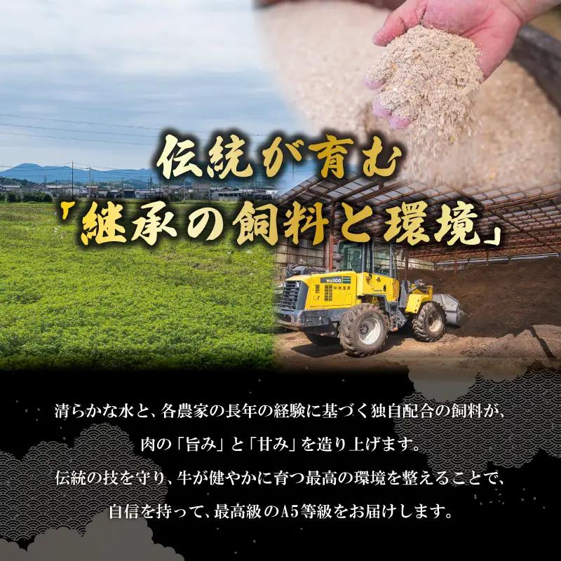 厳選松阪牛ヒレステーキ600ｇ（200g×3枚）　MA15