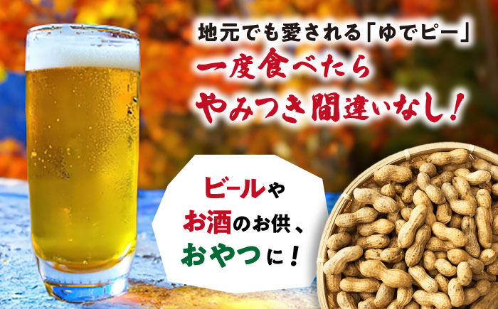 【全3回定期便】塩ゆで落花生 合計約750g（250g×3袋） ゆでピー 落花生 国産　大村市 浦川豆店 [ACZR013]