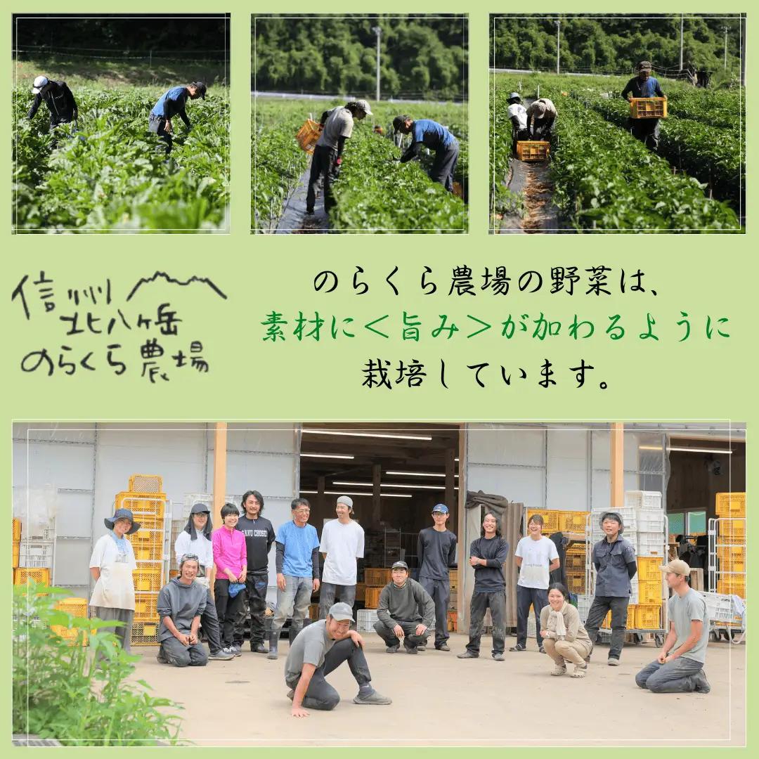 有機野菜ちいさな畑セット（Lサイズ　３～４人前）有機野菜［NK-102］