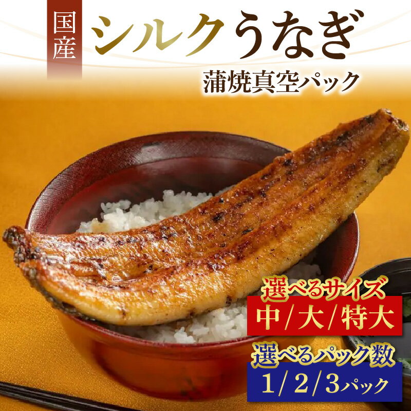 【ふるさと納税】シルクうなぎ蒲焼真空パック | ギフト のし対応 化粧箱 冷凍 配送 うなぎ 国産 3尾 2尾 1尾 人気 タレ付き 山椒 真空パック 贈り物 鰻 ウナギ unagi ブランド 丑の日 蒲焼き 蒲焼 かば焼き 個包装 小分け 冷凍 クール便 送料無料 やなのうなぎ 観光荘