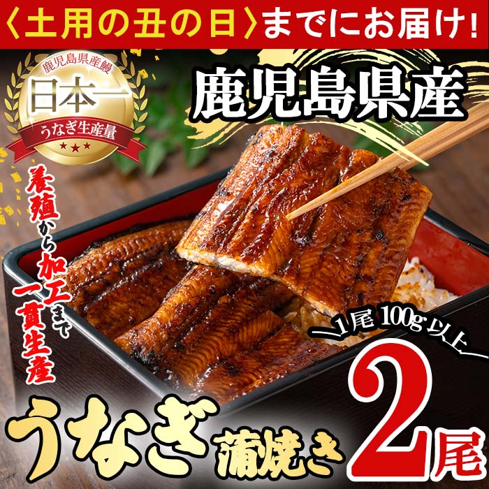 【ふるさと納税】桜林養鰻のうなぎ蒲焼 計200g以上(100g以上×2尾) 鰻 うなぎ ウナギ うなぎ 蒲焼き かばやき 国産 九州産 鹿児島県産 冷凍 真空パック 簡単 うな丼 うな重 ひつまぶし 惣菜 おかず【桜林養鰻】a3-195