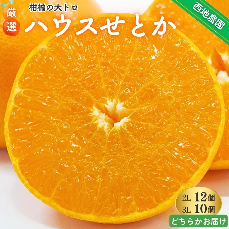 【ふるさと納税】 せとか 西地農園の ハウスせとか 2L 12個 / 3L 10個 【2026年2月中旬より順次発送】 手選別 ハウスせとか みかん ミカン 蜜柑 柑橘 果物 くだもの フルーツ 予約 人気 ジューシー 甘い 産地直送 送料無料