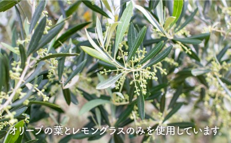 【全12回定期便】 オリーブ ハーブティー 40個（8個入×5袋）《長与町》【ゆきのヶ丘オリーブ園】 [EAV004]