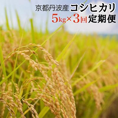 ふるさと納税 亀岡市 【毎月定期便】京都丹波産 米 コシヒカリ 5kg×3回 JA京都 たわわ朝霧のお米 全3回