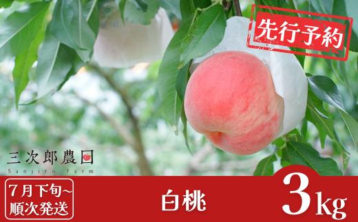 先行予約 白桃 約3kg（9玉～11玉入り）[7月下旬から発送予定] 令和7年度 贈答用桃 新潟県三条市産 桃 [三次郎農園]【013S015】