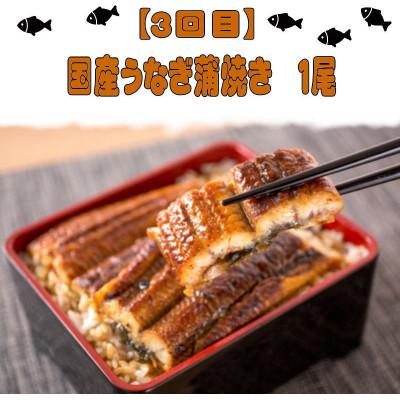 ふるさと納税 北山村 【毎月定期便】魚鶴厳選!人気のお魚集合定期便(さば・銀鮭・うなぎ)【tkb307】全3回 |  | 03