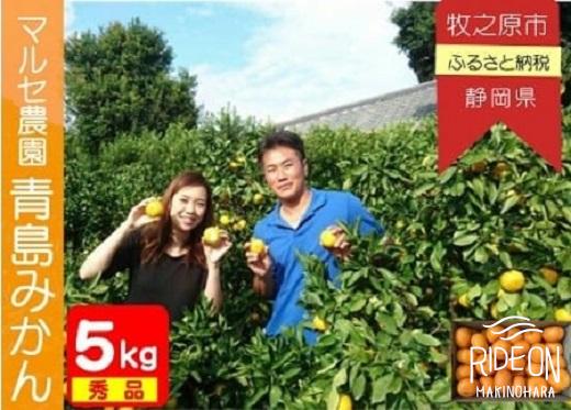 
            マルセ農園 とってもあまい 青島みかん 秀品 5キロ 甘い 濃い 秀品 5キロ 甘い 濃厚 ミカン 柑橘 蜜柑 ビタミン 果物 果樹園 直送 テロワール  温州みかん 国産 フルーツ 旬 季節 冬 贈答用 ギフト 農家 特産品 地域 特産 特選 厳選 高品質 牧之原市 静岡県 牧之原うまいもん食楽部
          