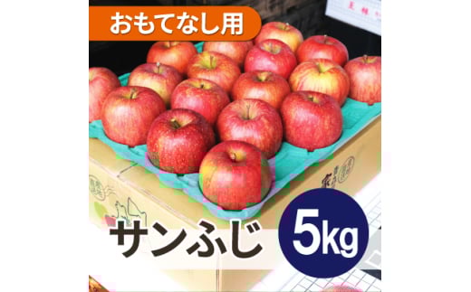 ＜26年2月出荷予定＞平均糖度13度以上! サンふじ 約5kg おもてなし用【1612809】