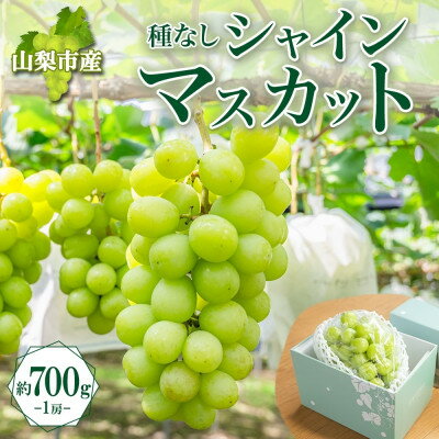【ふるさと納税】〈2025年先行予約〉果汁あふれるジューシーな「山梨市産 シャインマスカット 1房 約700g」【配送不可地域：離島】【1513031】