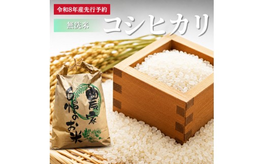 
                  【先行予約】無洗米令和8年産 コシヒカリ 5kg 【 お米 米 コメ 精米 南丹市 】 令和8年 5キロ 新米 新米26
                