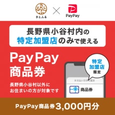 長野県小谷村　PayPay商品券(3,000円分)※地域内の一部の加盟店のみで利用可