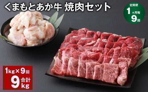 【1ヶ月毎9回定期便】 くまもとあか牛 焼肉セット 計約9kg（約1kg✕9回） 焼肉 もも ホルモン