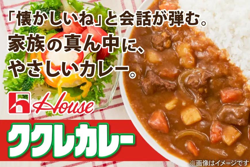 ハウス ククレカレー中辛＆カレーマルシェ中辛 各10個