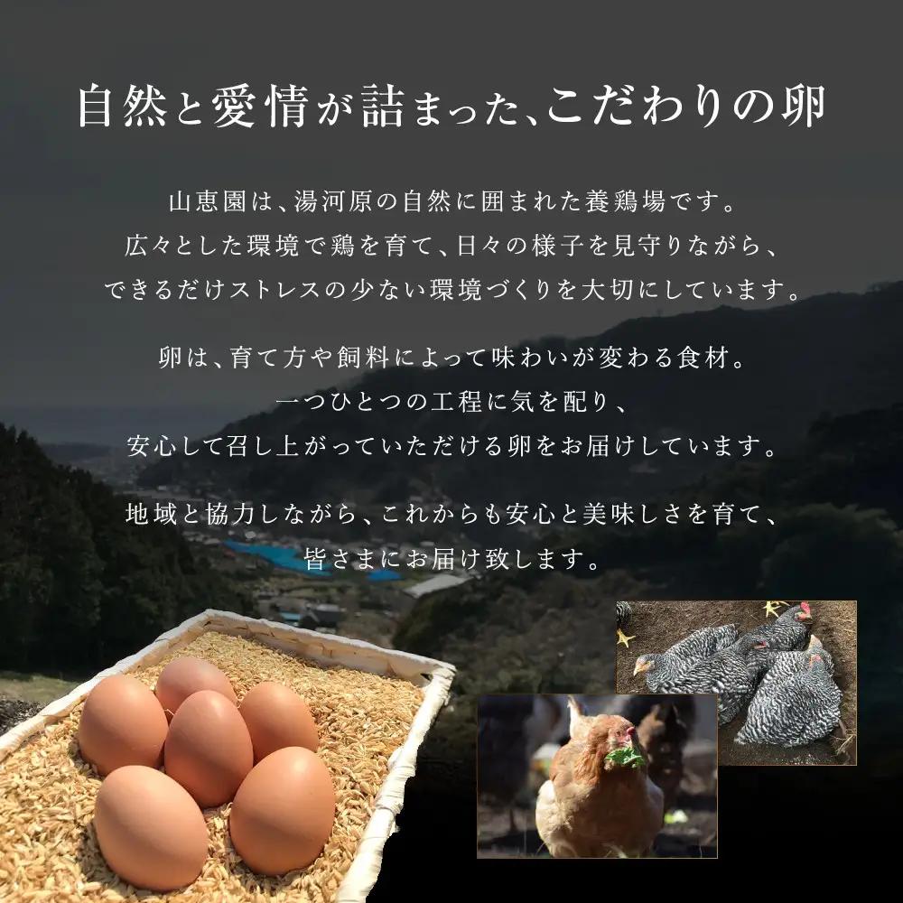 山恵園のたまご （ネラ卵15個＋アローカナ卵15個）| たまご 卵 赤玉 白玉  鶏卵 養鶏場 湯河原町