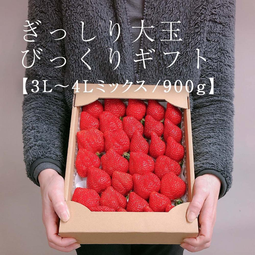 【2027年1月～4月出荷分予約販売】★身近な人間関係のお祝いに★「完熟あまおう」3L～4Lミックス詰め合わせ 900g入り