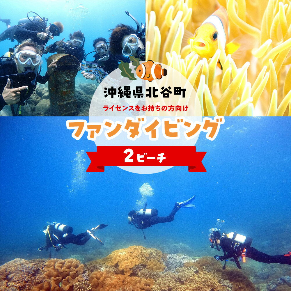 【ふるさと納税】【ふるさと納税】沖縄県北谷町　2ビーチファンダイビング | | 沖縄 旅行 人気 おすすめ 北谷町 北谷 送料無料