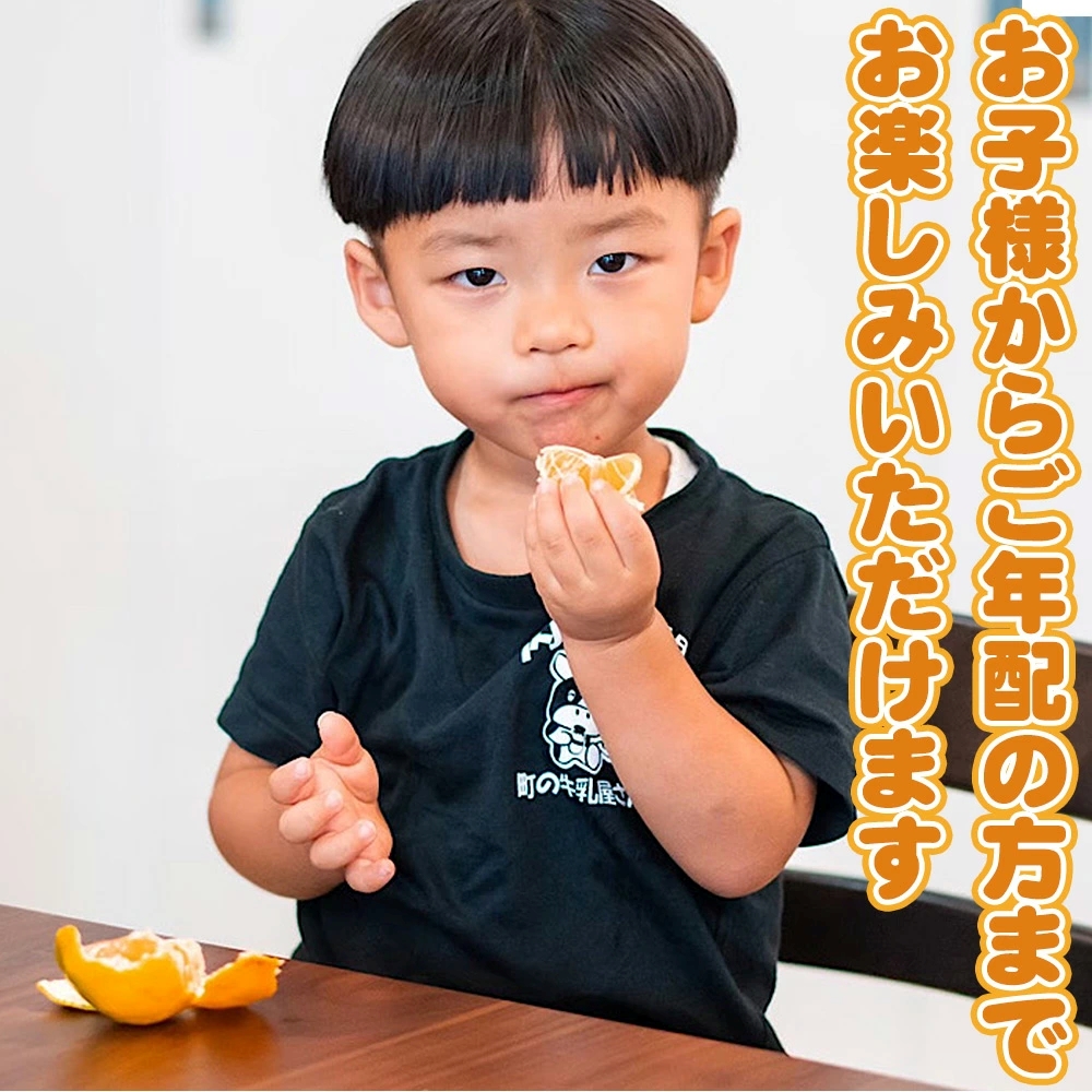 ZE6481_有田みかん 約3kg 【家庭用】 (S～Lサイズ混合)【まごころ手選別】