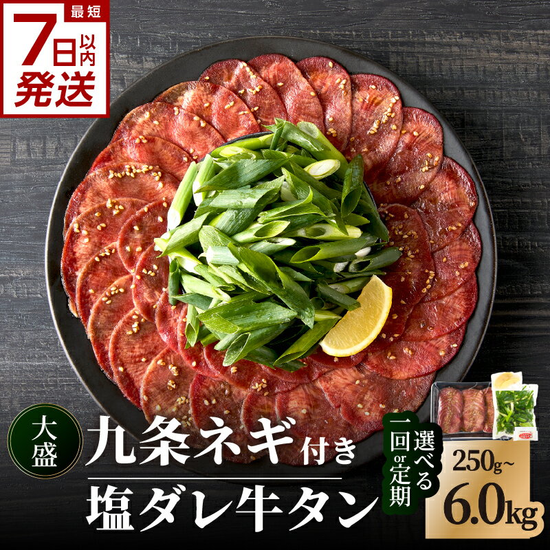 【ふるさと納税】 スピード発送！！塩ダレ牛タン 大盛九条ネギ 選べる内容量 （250g・500g・750g） 選べる定期便 （500g×3回・6回・12回） 牛タン セット 牛肉 京都九条ネギ 小分け 冷凍 真空パック 薄切りスライス BBQ 京都 牛たん 牛タン塩 《レビューキャンペーン》