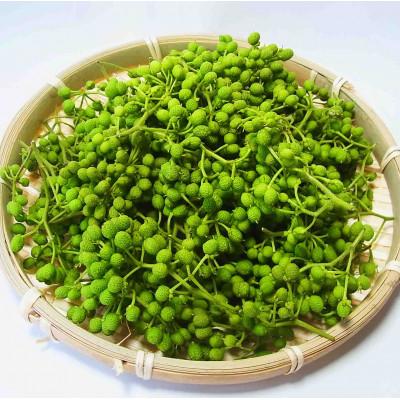 ふるさと納税 紀美野町 ぶどう生実山椒500g×1 |  | 02