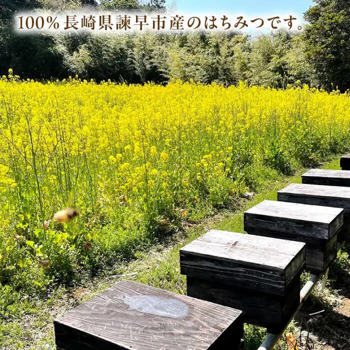 長崎県産天然はちみつ600g(2本セット) / 百花蜜 百花蜂蜜 蜂蜜 はちみつ ハチミツ / 諫早市 / 坂口養蜂 [AHDB001]
