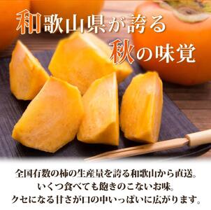 平核無柿（ひらたねなしがき）約２kg　化粧箱入　和歌山秋の味覚【2024年発送】