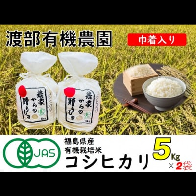 ≪先行受付≫コシヒカリ 巾着 5kg×2袋【11月から順次発送】【24007】