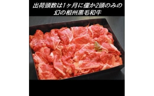 
            肉 黒毛和牛 切り落とし 700g 幻の相州黒毛和牛【相州黒毛和牛 幻の牛肉 極上の旨味と風味 キメ細かな上質の脂 様々な料理に ブランド牛 ブランド牛肉 神奈川特産品 かながわブランド 神奈川県 小田原市 】
          