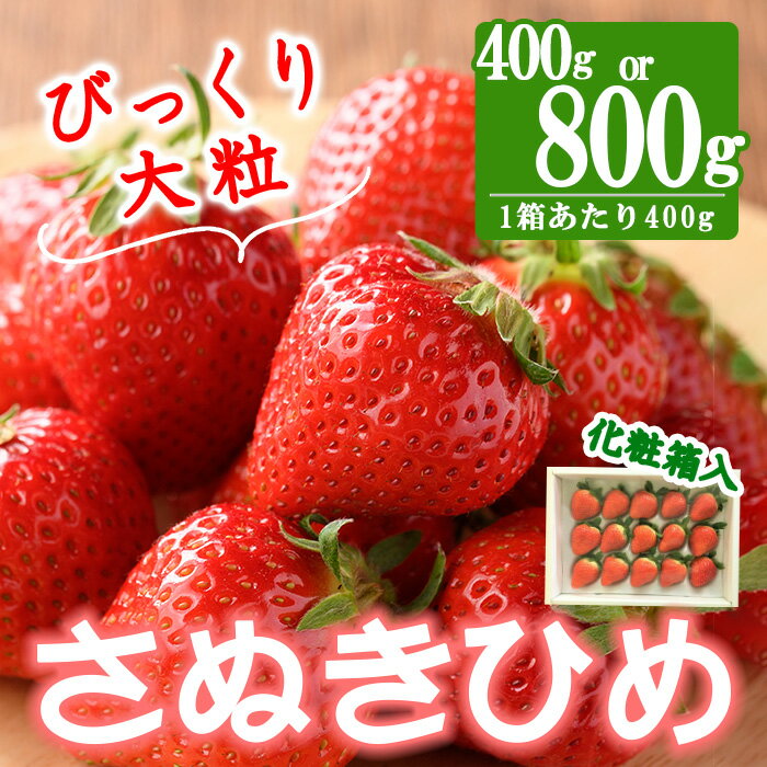 【ふるさと納税】＜期間限定！2026年2月中旬以降順次発送予定＞＜贈答用＞＜選べる容量＞香川県産さぬきひめいちご(約400g・約800g/1箱約400g) 果物 くだもの 苺 イチゴ フルーツ 産地直送 ギフト 【man100・man101】【Aglio nero】