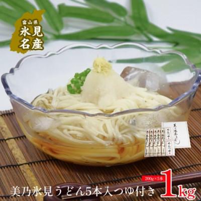 ふるさと納税 氷見市 美乃氷見うどん　5本入  つゆ付き(200g×5本)