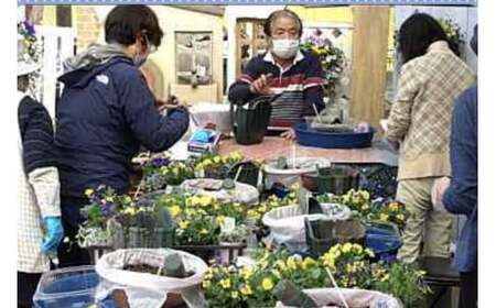 【年4回定期便】 花 テラコッタ 寄せ植え 季節 花苗 おまかせ ガーデニング フラワー インテリア 庭 定期便 頒布会